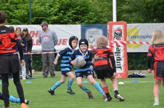 2025-06-07_105646.jpg - JPEG - 461.5 ko - 2000×1325 px