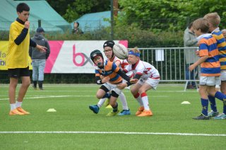 2025-06-07_124234_1_.jpg - JPEG - 445.3 ko - 2000×1325 px