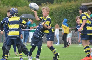 2025-06-07_162630.jpg - JPEG - 446.6 ko - 2000×1325 px