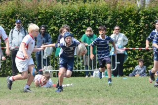 dsc_0041-8.jpg - JPEG - 544.9 ko - 2000×1325 px