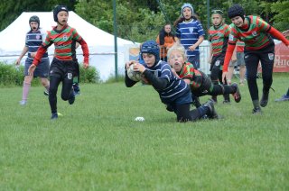 dsc_0138-5.jpg - JPEG - 629.8 ko - 2000×1325 px