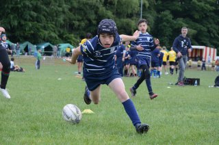 dsc_0160_1.jpg - JPEG - 439.7 ko - 2000×1325 px