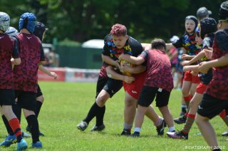 dsc_0176-5.jpg - JPEG - 236.9 ko - 1500×990 px