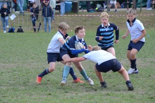 dsc_0221-4.jpg - JPEG - 222.8 ko - 2000×1325 px