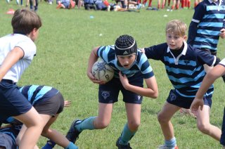 dsc_0233-3.jpg - JPEG - 442 ko - 2000×1325 px