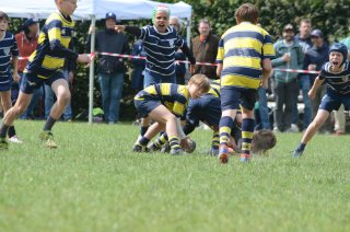 dsc_0294-4.jpg - JPEG - 421.7 ko - 2000×1325 px