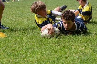 dsc_0330-3.jpg - JPEG - 638.2 ko - 2000×1325 px