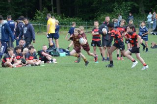 dsc_0388-6.jpg - JPEG - 469.3 ko - 2000×1325 px