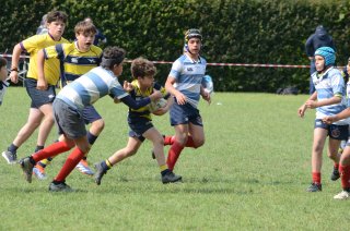 dsc_0407-3.jpg - JPEG - 192.2 ko - 2000×1325 px