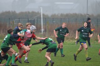 dsc_0742-5.jpg - JPEG - 641.2 ko - 2000×1325 px