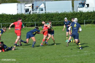 dsc_0957-4.jpg - JPEG - 571.1 ko - 2000×1325 px