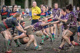 z63_7296.jpg - JPEG - 281.5 ko - 1024×677 px