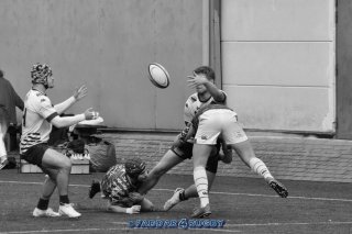 20231015_d1_sen2_la_hulpe_13_-_35_brc_s_b_v_g_0121_zw.jpg - JPEG - 208.6 ko - 1500×996 px