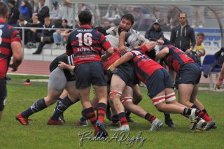 20241027_d1_sen1_rugby_liege_-_brc_0374.jpg - JPEG - 286.6 ko - 1500×996 px