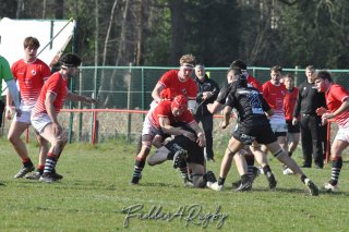 20250316_d2_sen1_rc_diabolos_-_rhinos_rugby_0564.jpg - JPEG - 333.2 ko - 1500×996 px