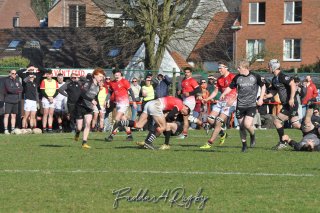 20250316_d2_sen1_rc_diabolos_-_rhinos_rugby_0741.jpg - JPEG - 402 ko - 1500×996 px