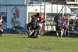 20250316_d2_sen1_rc_diabolos_-_rhinos_rugby_1164.jpg - JPEG - 338.3 ko - 1500×996 px