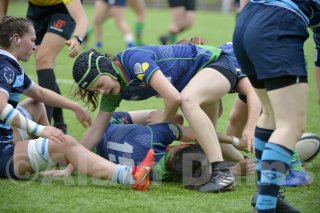 _d2s6970_copie.jpg - JPEG - 193.2 ko - 2000×1331 px