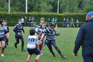 dsc_0305-3.jpg - JPEG - 529.6 ko - 2000×1328 px