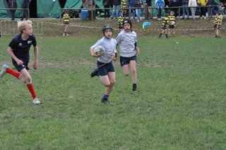 dsc_0374-4.jpg - JPEG - 564.1 ko - 2000×1328 px