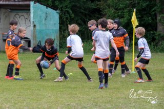 dsc_7986-3.jpg - JPEG - 211.3 ko - 2000×1325 px