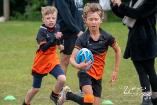 dsc_8038-2.jpg - JPEG - 195.1 ko - 1280×852 px