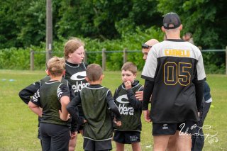 dsc_8044-2.jpg - JPEG - 367.4 ko - 2000×1325 px