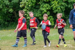 dsc_8148-3.jpg - JPEG - 198.2 ko - 2000×1325 px