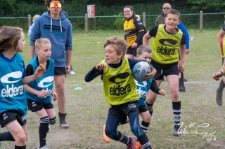 dsc_8311.jpg - JPEG - 192.8 ko - 2000×1232 px