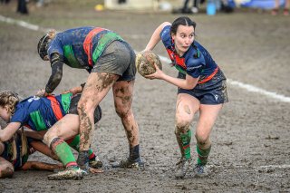 z63_7213.jpg - JPEG - 247 ko - 1024×681 px