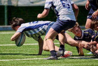 0462_10-05_jz1_3621.jpg - JPEG - 483.1 ko - 2000×1333 px