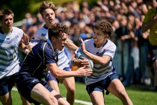 0599_10-05_jz1_3682.jpg - JPEG - 378.6 ko - 2000×1333 px