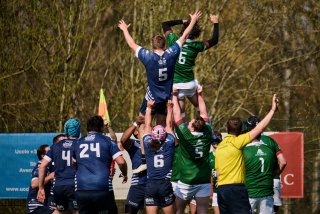 1035_jz1_3095.jpg - JPEG - 483 ko - 2000×1333 px