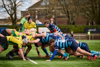 1055_jz2_9792.jpg - JPEG - 445.8 ko - 2000×1333 px