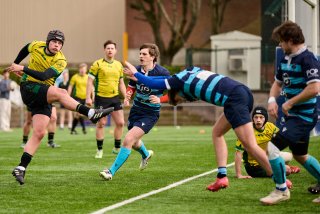 1056_jz2_9793.jpg - JPEG - 448.1 ko - 2000×1334 px