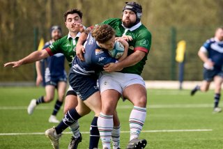 1123_jz1_3181.jpg - JPEG - 327.6 ko - 2000×1333 px