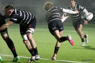 116-bj8a4471.jpg - JPEG - 392.6 ko - 2000×1335 px