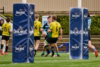 1168_jz1_5803.jpg - JPEG - 392.1 ko - 2000×1333 px