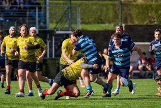 122_jz1_0074.jpg - JPEG - 500.5 ko - 2000×1333 px