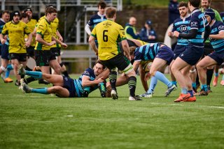 1283_jz1_5903.jpg - JPEG - 452.6 ko - 2000×1333 px