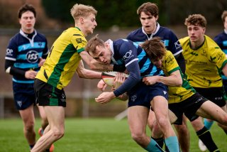 1381_jz1_5969.jpg - JPEG - 387.9 ko - 2000×1333 px