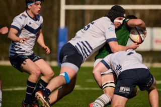 1750_jz1_3527.jpg - JPEG - 343.1 ko - 2000×1333 px