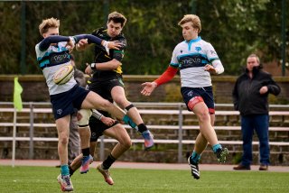 1916_jz1_6363.jpg - JPEG - 429.5 ko - 2000×1332 px