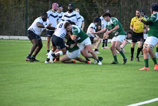 2025-11-09_234624_54916949430_o.jpg - JPEG - 437 ko - 2000×1333 px