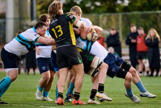 2036_jz1_6463.jpg - JPEG - 439.8 ko - 2000×1333 px