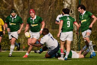 2085_jz1_3739.jpg - JPEG - 481.1 ko - 2000×1332 px