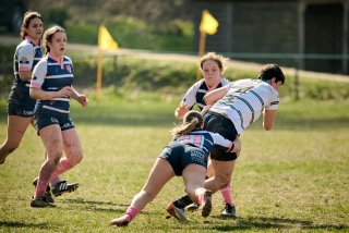 2126_jz1_2146.jpg - JPEG - 447.1 ko - 2000×1333 px