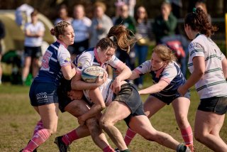 2267_jz1_2263.jpg - JPEG - 405.3 ko - 2000×1333 px