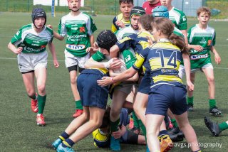 226a1969.jpg - JPEG - 358.7 ko - 1500×1000 px