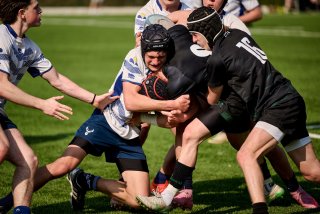 2400_jz2_4815.jpg - JPEG - 412.5 ko - 2000×1333 px